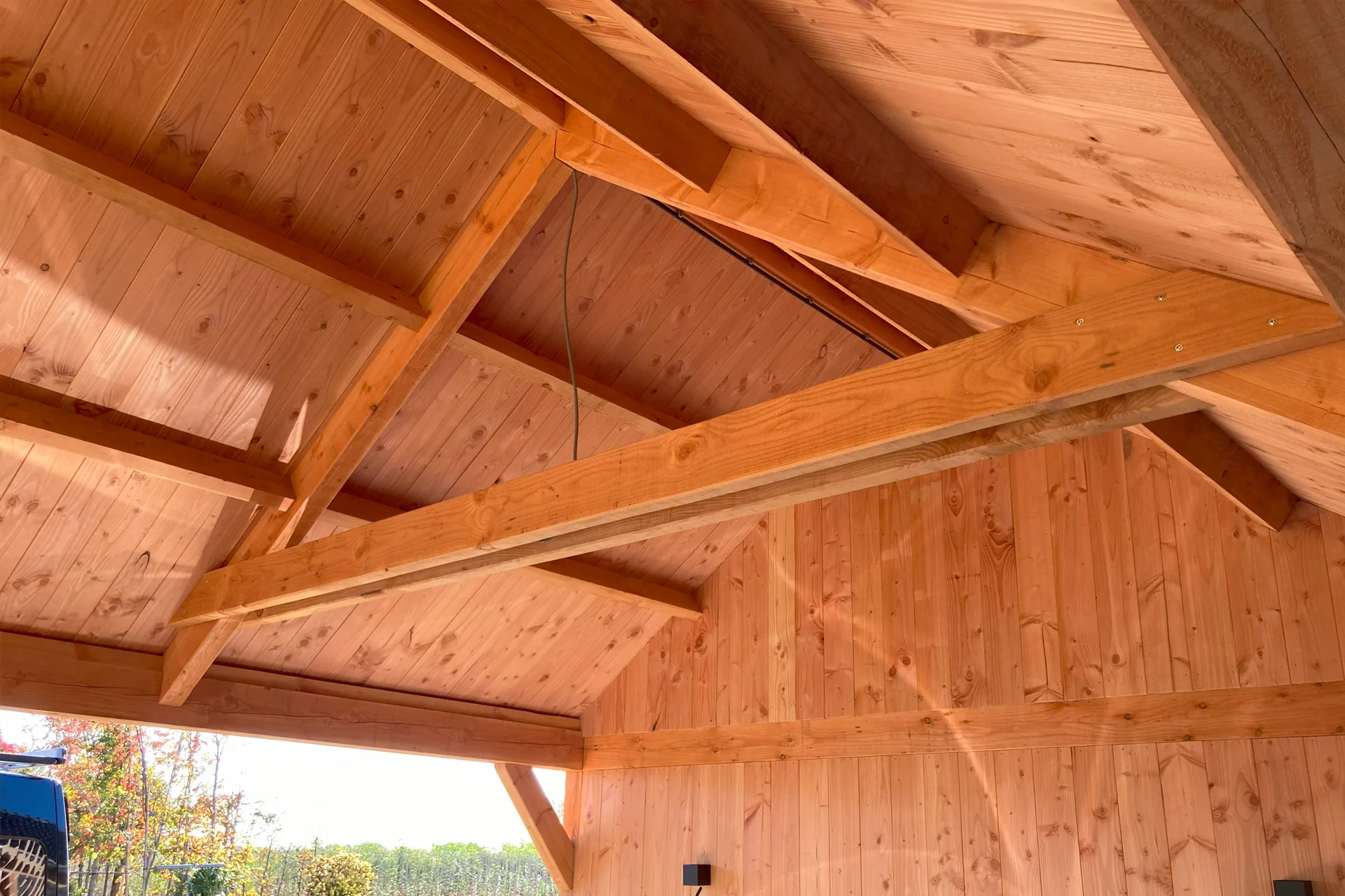 Douglas overkapping voor een carport